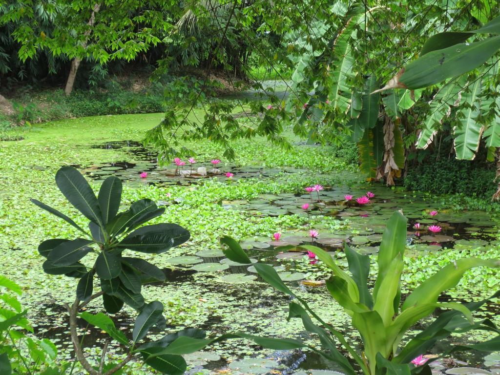 Ban Tonnam Resort Suan Phueng Exterior photo