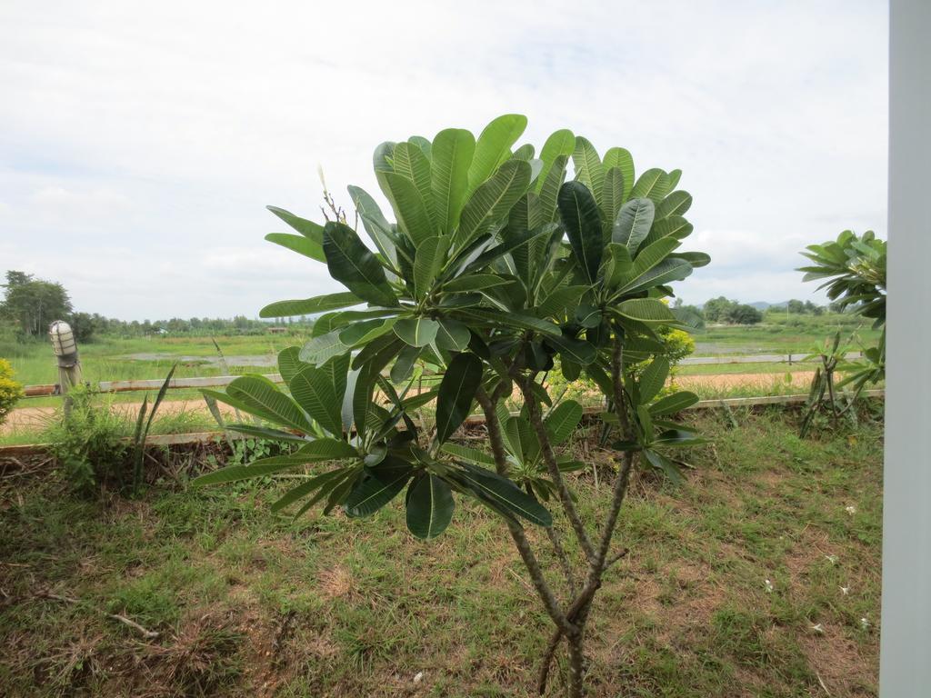 Ban Tonnam Resort Suan Phueng Exterior photo